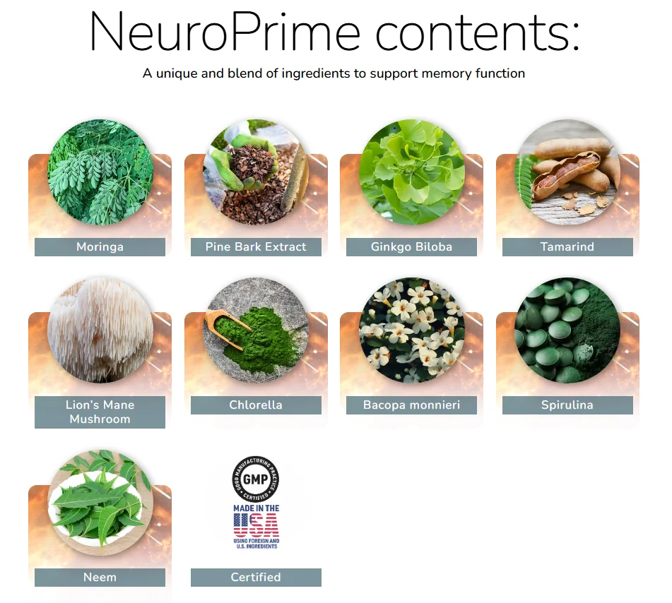 NeuroPrime-Ingredients